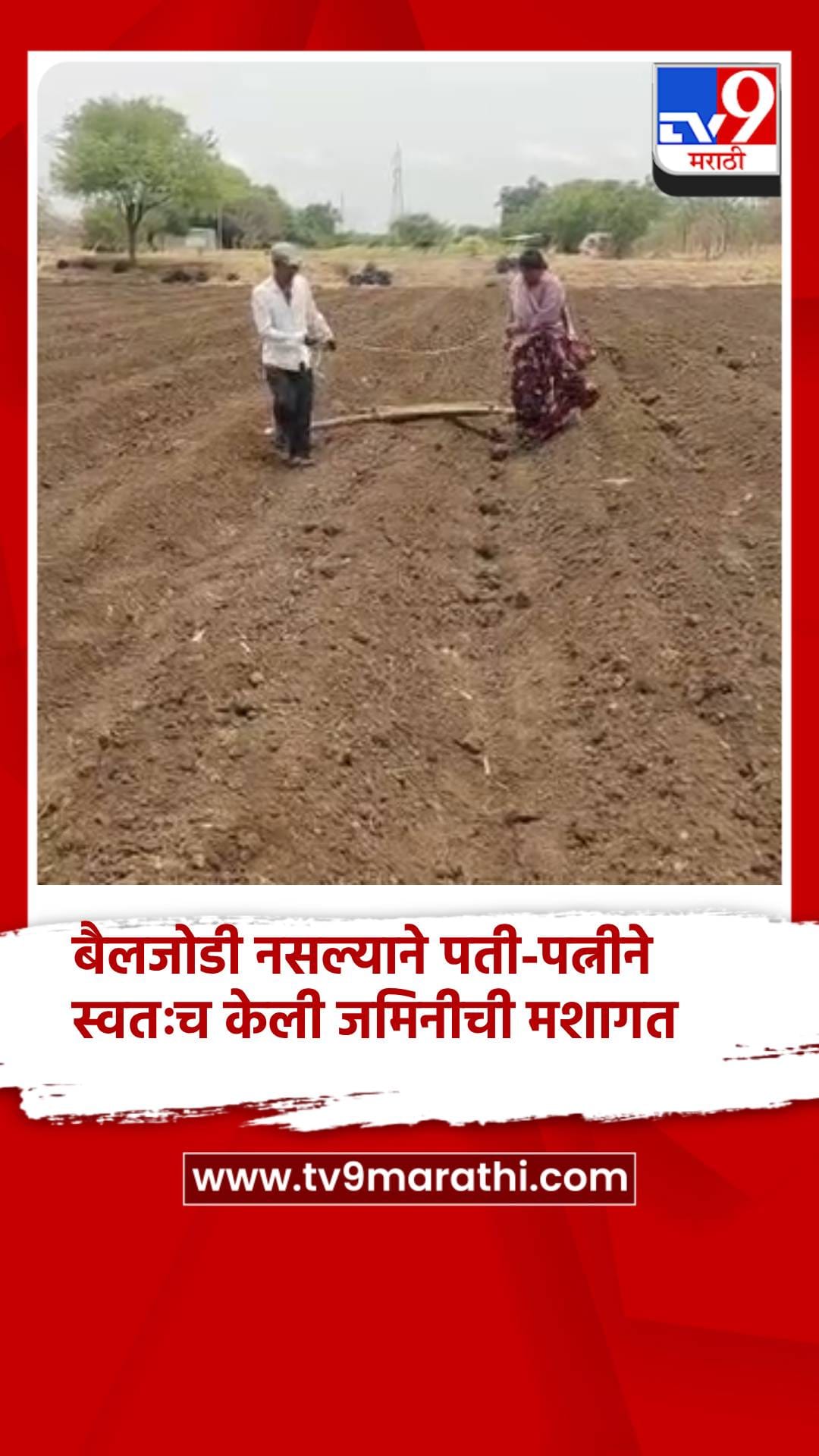 बैलजोडी नसल्याने पती-पत्नीने स्वतःच केली जमिनीची मशागत