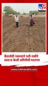 बैलजोडी नसल्याने पती-पत्नीने स्वतःच केली जमिनीची मशागत.