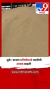 धुळे : बाजार समितीमध्ये ज्वारीची आवक वाढली.