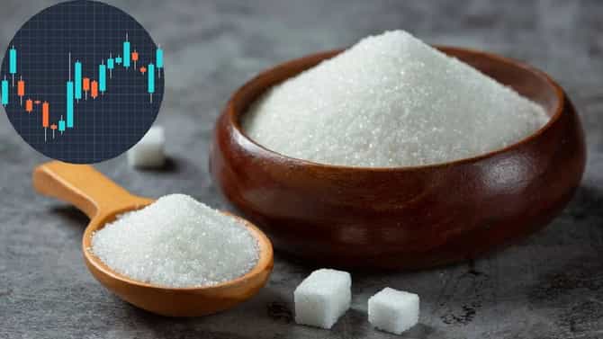 साखरेच्या निर्यातीवरील बंदीचा मोठा फटका, शुगर कंपन्यांचे शेअर्स 4.5 टक्क्यांपर्यंत घसरले, गुंतवणूकदार चिंतेत