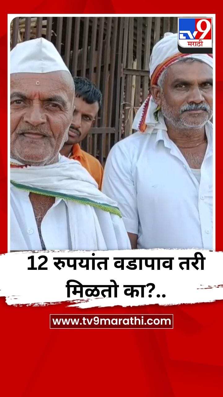 12 रुपयांत वडापाव तरी मिळतो का?..