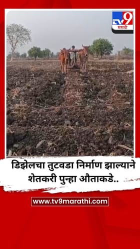 डिझेलचा तुटवडा निर्माण झाल्याने शेतकरी पुन्हा औताकडे..