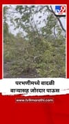 परभणीमध्ये वादळी वाऱ्यासह जोरदार पाऊस.