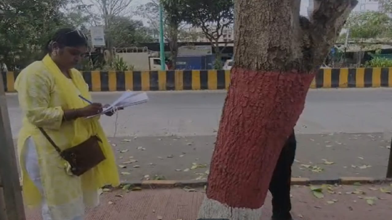  तर  गणपती चौक ते डीबी चौक दरम्यानच्या टेबेबुइया झाडांना हानी पोहोचवल्याची माहिती पालिकेला मिळताच पालिकेचे पथक  तात्काळ घटनास्थळी जाऊन पाहणी केली  यात 7 ते 8 झाडांच्या खोडांना ड्रिल करून त्यात काहीतरी रासायनिक द्रव्य टाकल्याचे प्रथमदर्शनी  दिसले.