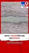 जळगाव : वसंतवाडी येथील पाझर तलाव कोरडाठाक.