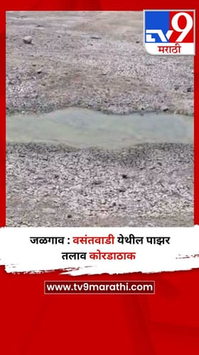 जळगाव : वसंतवाडी येथील पाझर तलाव कोरडाठाक