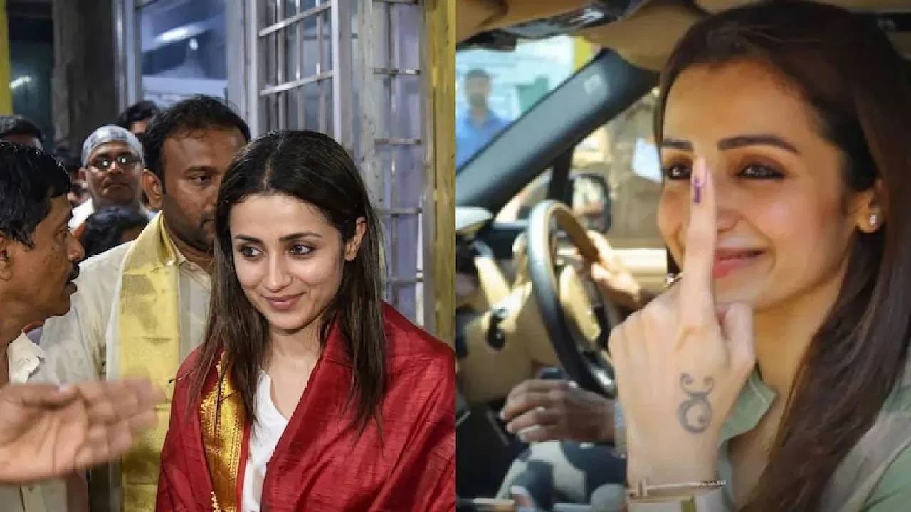 TVK Vijay : निकालानंतर त्रिशा कृष्णनकडून खुल्लम खुल्ला प्रेम व्यक्त; थेट विजयच्या..