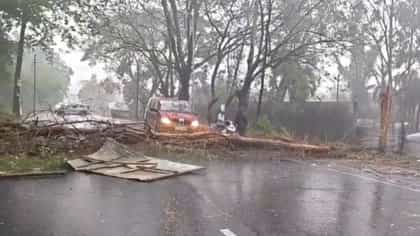 अवघ्या तासाभराच्या पावसाने साताऱ्यात हाहा:कार, घरे, झाडे कोलमडली...