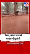 नेरळ, माथेरानमध्ये अवकाळी पावसाची हजेरी.
