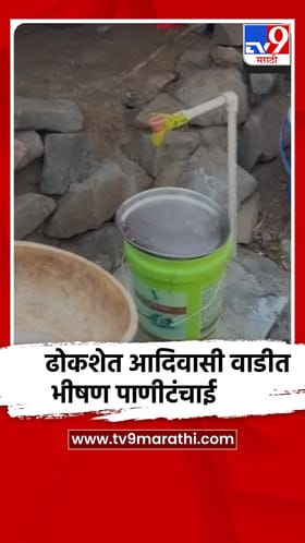 रायगड : सुधागड तालुक्यात ढोकशेत आदिवासी वाडीत पाणीटंचाई