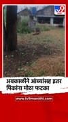 गोंदियात अवकाळी पावसाचा तडाखा, झाडांखाली कैऱ्यांचा सडा.
