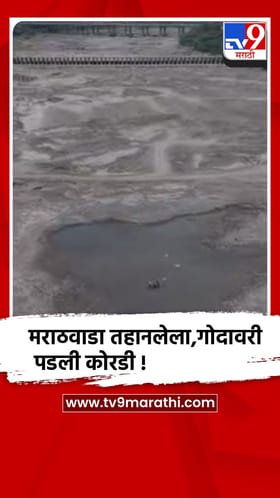 बीड - गोदावरी नदीचे पात्र कोरडेठाक, मराठवाड्यातील अनेक गावांना तीव्र पाणीटंचाईची झळ