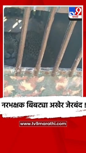 शहापूर -डोळखांब : नरभक्षक बिबट्याला अखेर वन विभागाने केले जेरबंद
