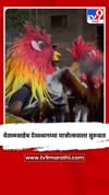 वेताळसाहेब देवस्थानच्या यात्रोत्सवाला सुरुवात.