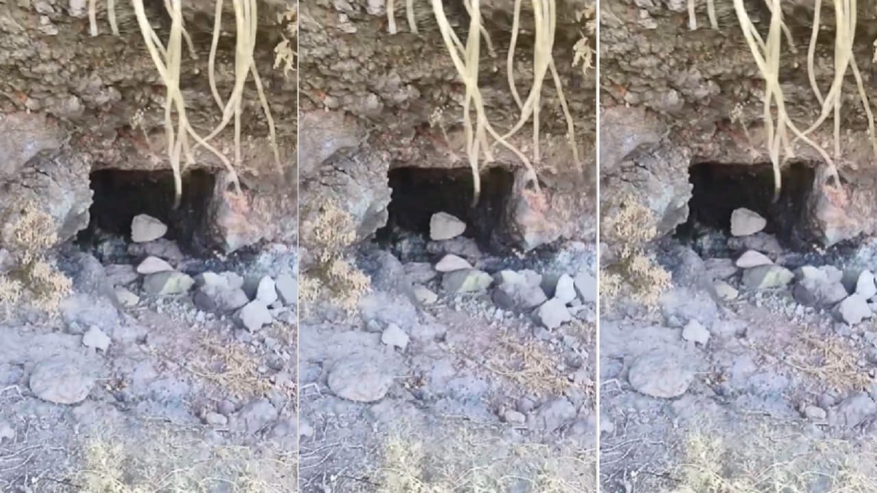 प्राचीन भुयार इतिहास अभ्यासकांना संशोधन करण्यासाठी मोठं पर्वणी ठरणारं आहे. मावळातील विसापूर गडाच्या पायथ्यालगत असलेल्या मालेवाडी याठिकाणाहून दुर्गसेवक हे आडवाटेने विसापूर गडावर जात असताना त्यांना हे प्राचीन आणि अपरिचित भुयार आढळलं.