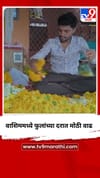 वाशिम जिल्ह्यात फुलांचे दर कडाडले, दरात मोठी वाढ.