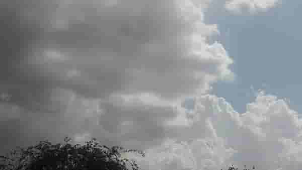 Weather Update : घराच्या बाहेर पडणं टाळा, IMD च्या नव्या इशाऱ्याने चिंता वाढली, या जिल्ह्यांना सर्वाधिक धोका