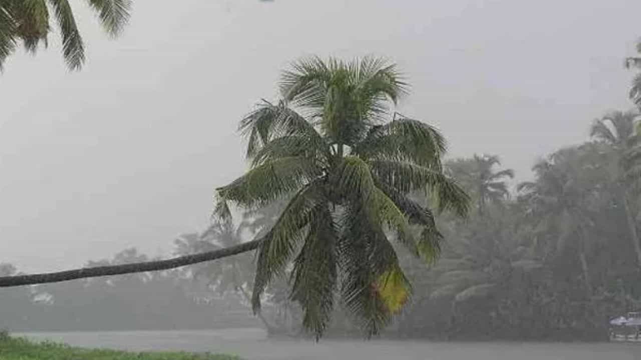Weather Update : प्रतितास 100 किमी वेगानं येतंय महाभयंकर संकट; आयएमडीचा रेड अलर्ट, महाराष्ट्रालाही मोठा इशारा