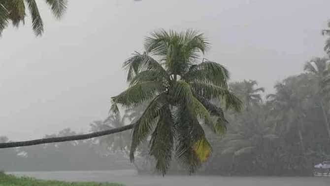 Weather Update : प्रतितास 100 किमी वेगानं येतंय महाभयंकर संकट; आयएमडीचा रेड अलर्ट, महाराष्ट्रालाही मोठा इशारा