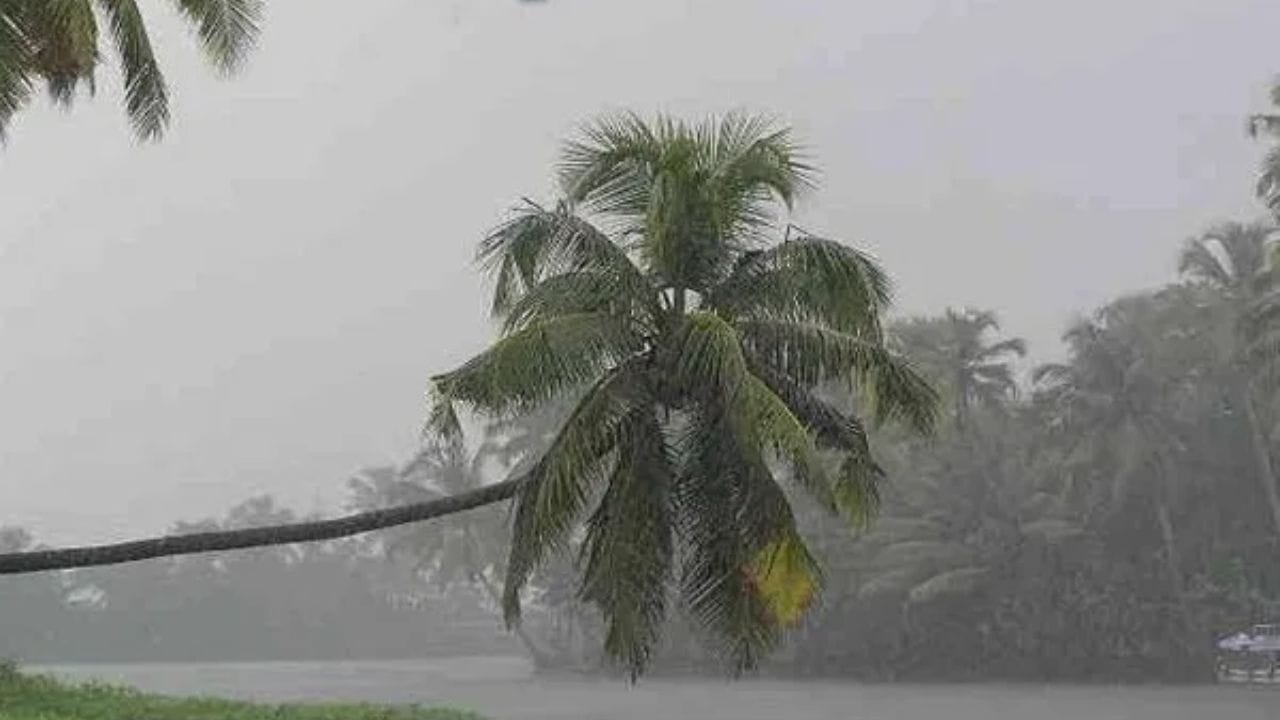 Weather Update : प्रतितास 100 किमी वेगानं येतंय महाभयंकर संकट; आयएमडीचा रेड अलर्ट, महाराष्ट्रालाही मोठा इशारा Weather Update : प्रतितास 100 किमी वेगानं येतंय महाभयंकर संकट; आयएमडीचा रेड अलर्ट, महाराष्ट्रालाही मोठा इशारा