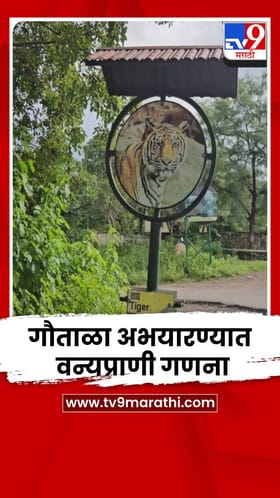 चंद्रप्रकाशात आज गौताळा अभयारण्यात वन्यप्राणी गणना