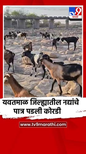 यवतमाळ जिल्ह्यातील नद्यांचे पात्र पडली कोरडी