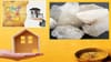 Vastu Shastra : घरात पैसा टिकत नाहीये? मग करा हे सोपे तुरटीचे उपाय.