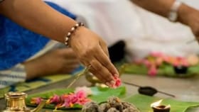 पितृदोषापासून मुक्ती मिळवण्यासाठी करा हे प्रभावी उपाय, पूर्वजांची कृपा