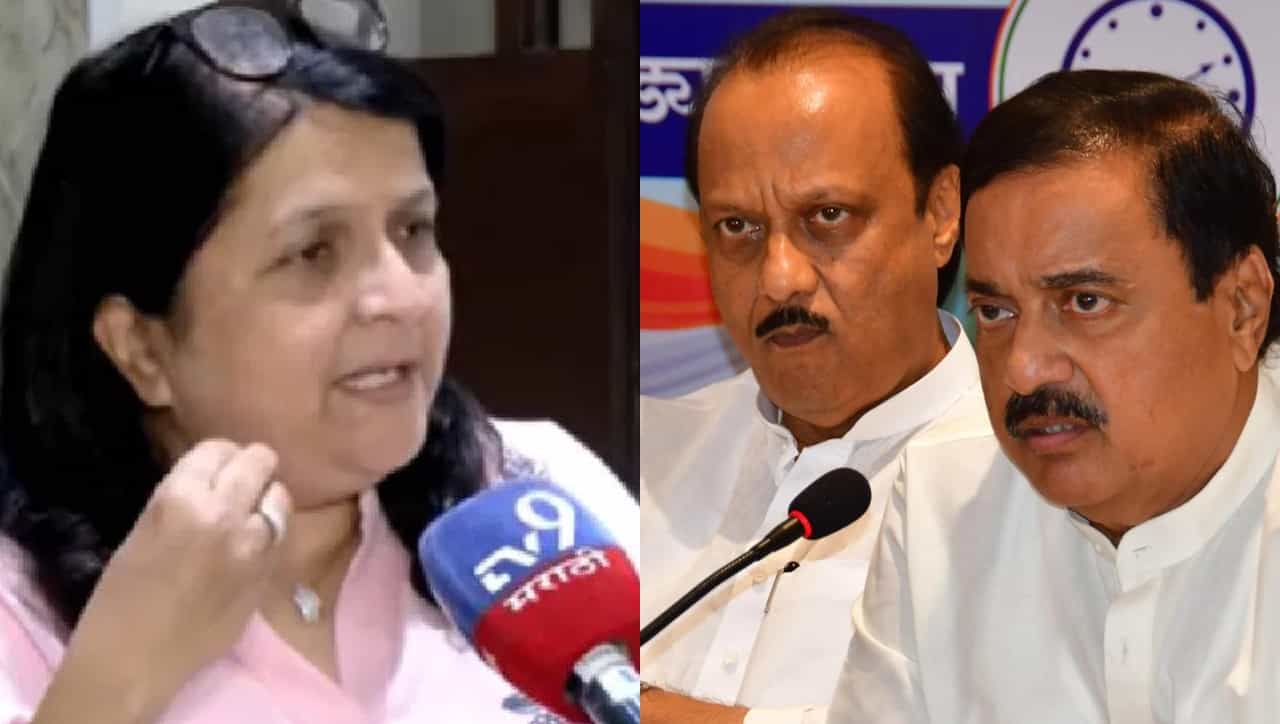 अजित पवार आणि सुनील तटकरेंबद्दल अंजली दमानियांचे मोठे विधान; म्हणाल्या त्यांचं कधीच...