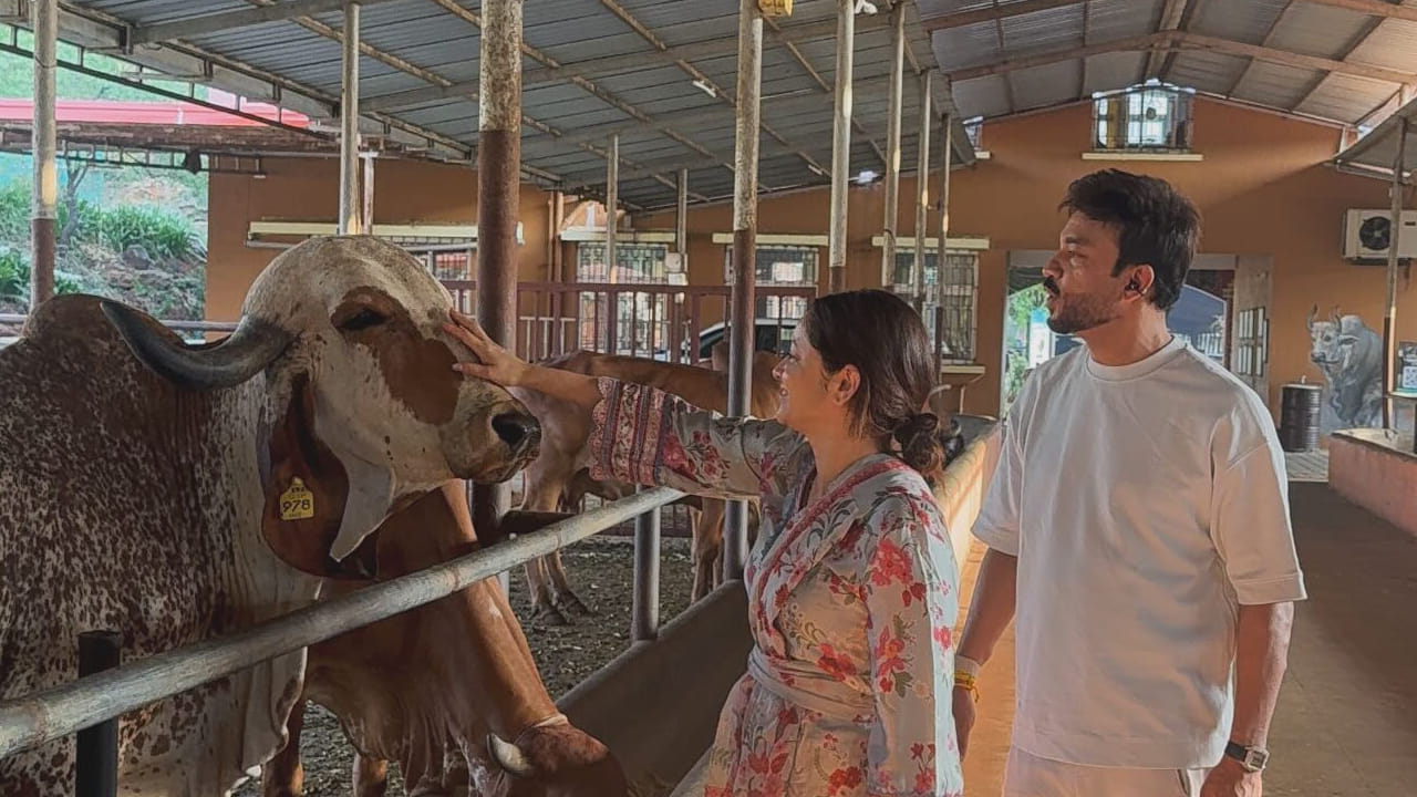 विशेष बाब म्हणजे, अंकिता गोबर उचलताना तिच्या चेहऱ्यावर कोणतीही लाज किंवा संकोच नव्हता. उलट ती हे काम आनंदाने आणि मनापासून करत असल्याचं स्पष्ट दिसत होतं.