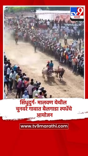 सिंधुदुर्ग- मालवण येथील चुनवरे गावात बैलगाडा स्पर्धेचे आयोजन