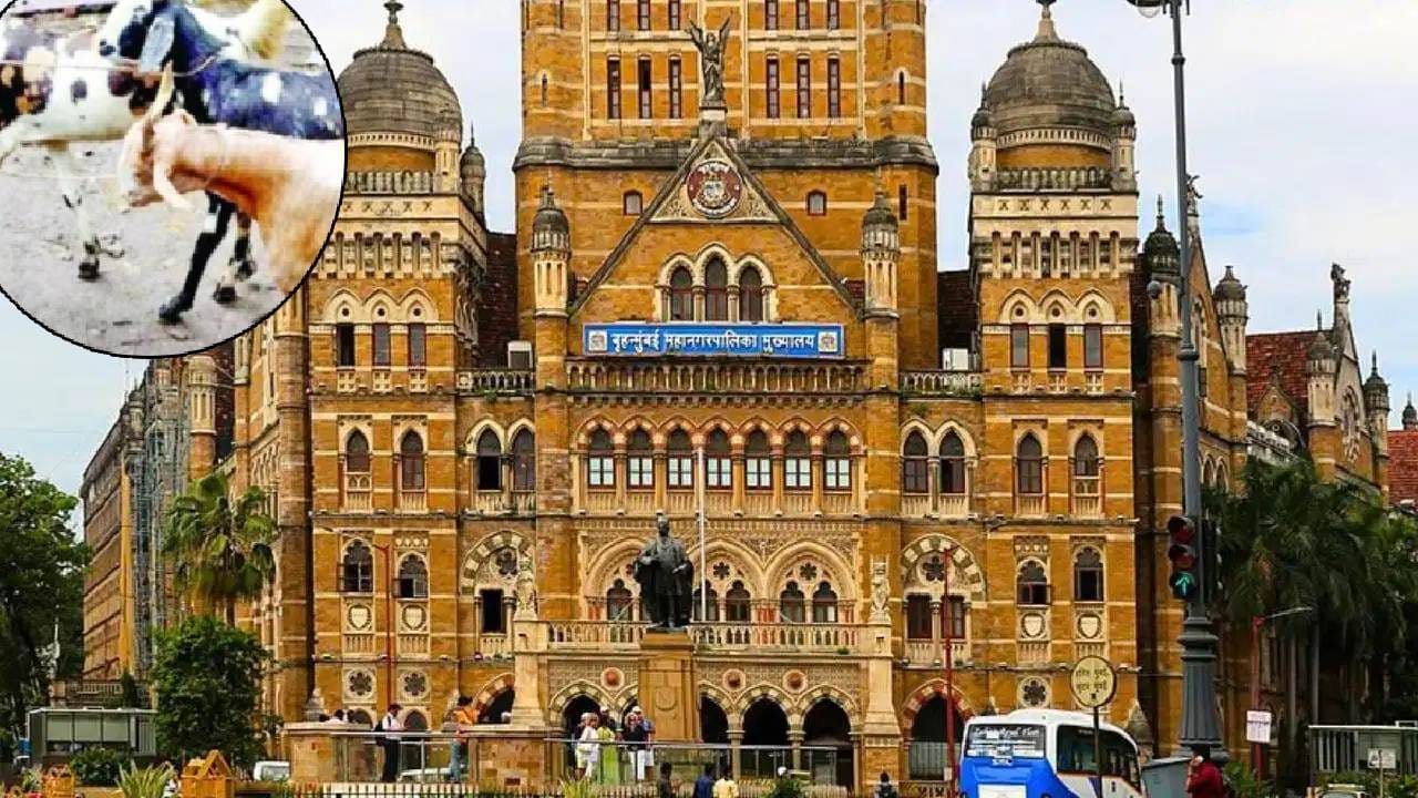 मुंबईतील सोसायटीत कुर्बानीवरून वाद, परवानगी केली रद्द