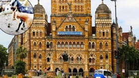 मुंबईतील सोसायटीत कुर्बानीवरून वाद, परवानगी केली रद्द.