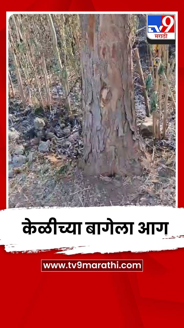 केळीच्या बागेला आग; शेतकऱ्याचं दीड लाखांचं नुकसान