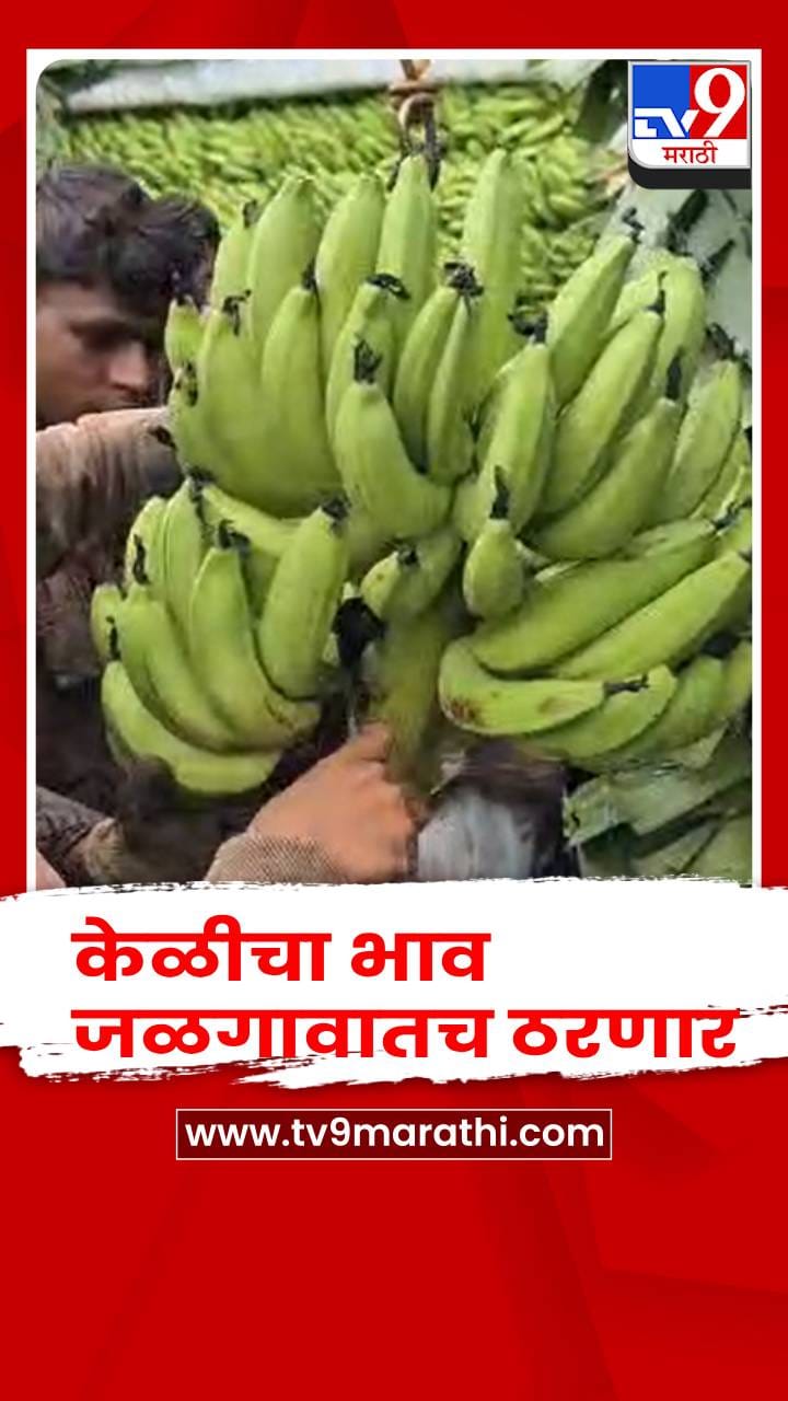 केळीचा भाव जळगावातच ठरणार; जळगाव जिल्हा प्रशासनाचा महत्त्वाचा निर्णय