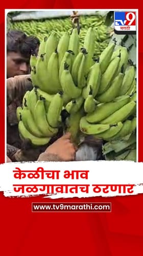 केळीचा भाव जळगावातच ठरणार; जळगाव जिल्हा प्रशासनाचा महत्त्वाचा निर्णय