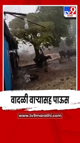 बीड, केज, पाटोद्यामध्ये वादळी वाऱ्यासह पाऊस