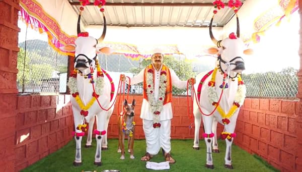 वडिलांचे छत्र हरपल्यानंतर त्यांच्या आठवणी चिरंतन ठेवण्यासाठी आणि त्यांच्याविषयीची कृतज्ञता व्यक्त करण्यासाठी मुलांनी अनेक प्रकारे प्रयत्न केल्याची उदाहरणे आपण पाहतो. मात्र, पुणे जिल्ह्याच्या भोर तालुक्यातील भाबवडी गावातील बुदगुडे बंधूंनी एक पाऊल पुढे टाकत, समाजासमोर एक अनोखा आदर्श ठेवला आहे. आपल्या दिवंगत वडिलांच्या स्मरणार्थ या मुलांनी घरासमोरील अंगणातच त्यांचे देखणे स्मारक उभारले आहे.