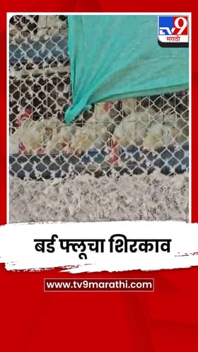 नंदूरबारमधील नवापुरात बर्ड फ्लूचा शिरकाव; 2 दिवसांत 44 हजार कोंबड्या नष्ट