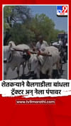 शेतकऱ्याने बैलगाडीला बांधला ट्रॅक्टर अन् नेला पंपावर.