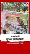बुलढाण्यात शिक्षकाचा स्तुत्य उपक्रम, पक्ष्यांसाठी सुरक्षित पाणीकॉरिडॉर.