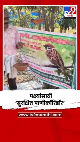 बुलढाण्यात शिक्षकाचा स्तुत्य उपक्रम, पक्ष्यांसाठी सुरक्षित पाणीकॉरिडॉर