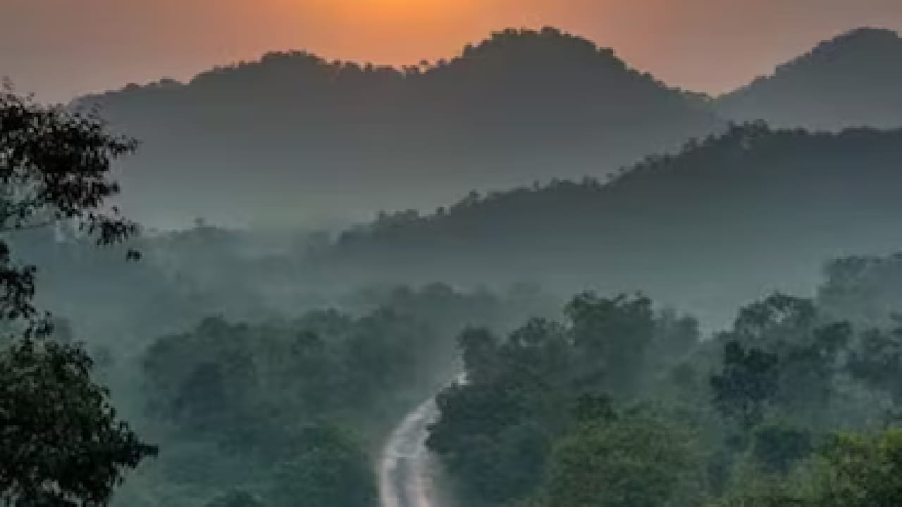 छत्तीसगड राज्य आपल्या समृद्ध नैसर्गिक सौंदर्यासाठी ओळखले जाते. येथील डोंगररांगा, दाट जंगलं आणि ऐतिहासिक स्थळे पर्यटकांना नेहमीच आकर्षित करत असतात. अशाच रमणीय ठिकाणांपैकी एक म्हणजे चैतुरगड. 