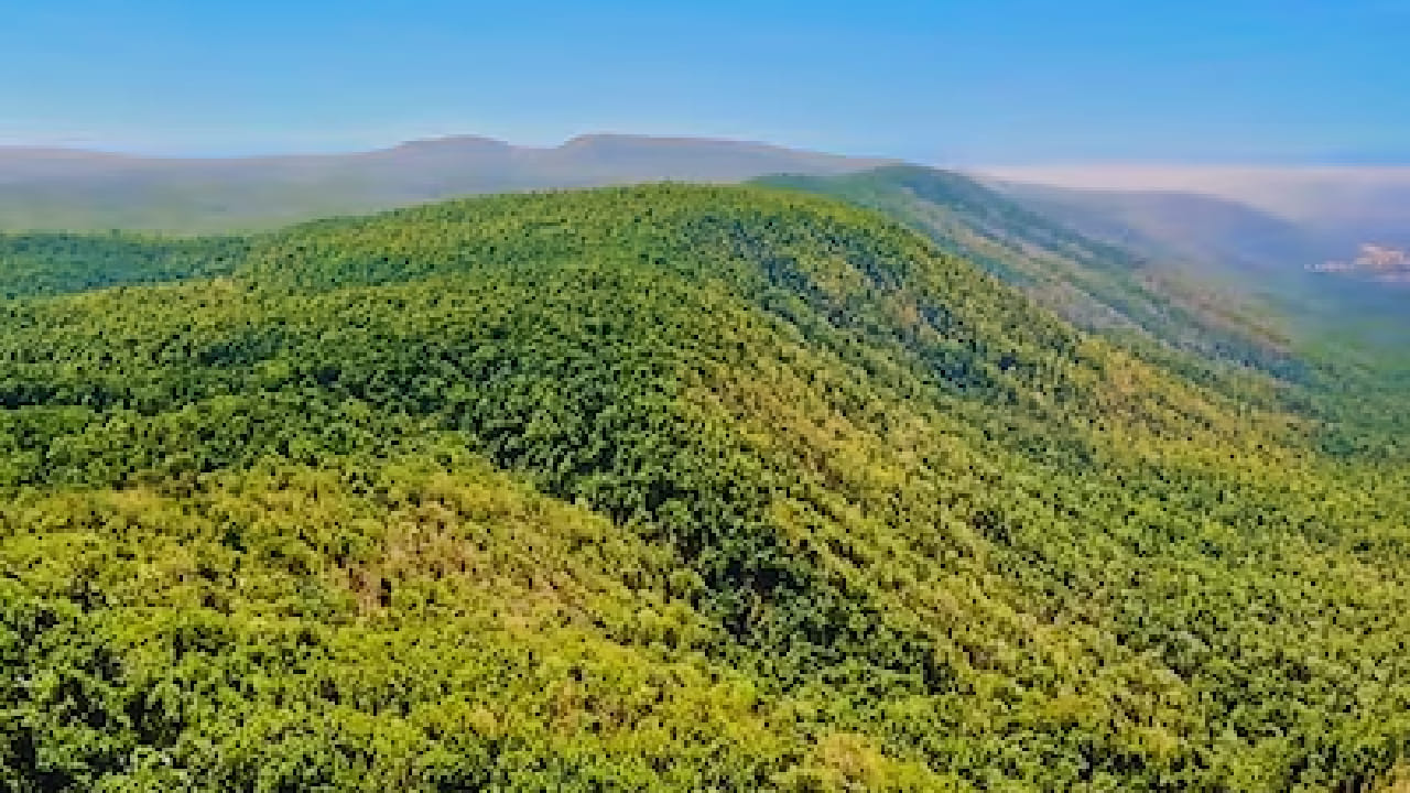 समुद्रसपाटीपासून सुमारे 3060 मीटर उंचीवर वसलेल्या चैतुरगडचे हवामान वर्षभर आल्हाददायक राहते. विशेष म्हणजे, संपूर्ण परिसर उन्हाच्या तडाख्याने तापलेला असताना चैतुरगडमध्ये मात्र गारवा अनुभवायला मिळतो. त्यामुळे उन्हाळ्यात पर्यटनासाठी हे ठिकाण पर्यटकांची पहिली पसंती ठरत आहे.