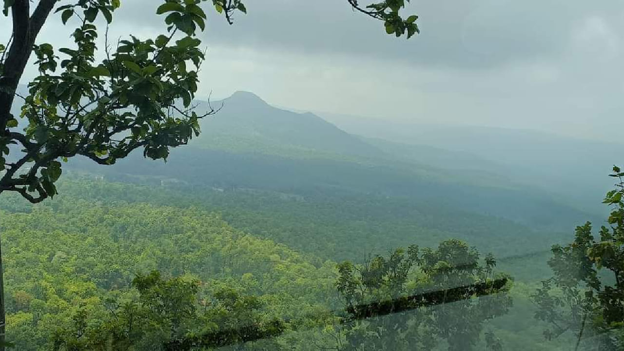 कोरबा जिल्ह्यातील उंच पर्वतरांगांमध्ये वसलेले हे ठिकाण ‘छत्तीसगडचे मिनी काश्मीर’ म्हणून प्रसिद्ध झाले आहे. येथील थंड हवामान, हिरवागार परिसर आणि शांत वातावरणामुळे पर्यटकांना अगदी काश्मीरमध्ये आल्याचा अनुभव मिळतो.