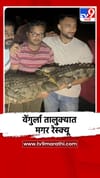 वेंगुर्ला आडेली येथे नागरीवस्तीत आलेल्या मगरीला केले रेस्क्यू.