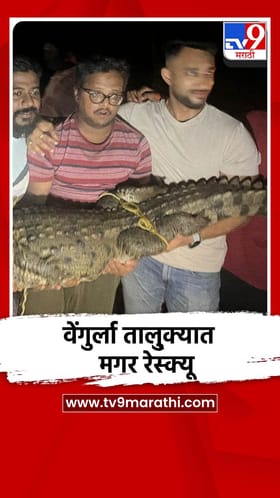 वेंगुर्ला आडेली येथे नागरीवस्तीत आलेल्या मगरीला केले रेस्क्यू