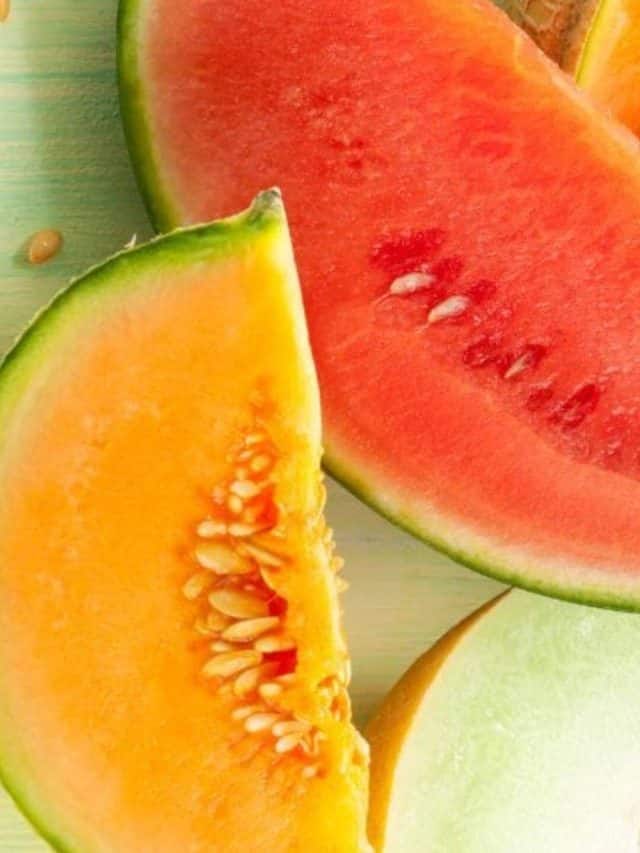 Watermelon की Muskmelon उन्हाळ्यात कोणते फळ बेस्ट असते ?