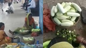 रेल्वे प्रवासात काकडी खाणं पडू शकतं महागात; व्हिडीओ पाहिल्यानंतर....