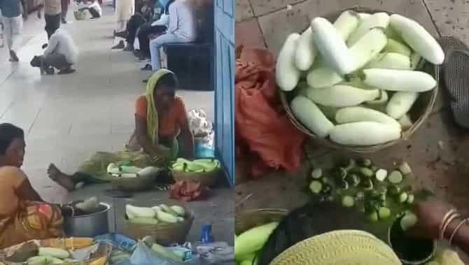 कलिंगड सोडा, रेल्वे प्रवासात काकडी खाणं पडू शकतं महागात; व्हिडीओ पाहिल्यानंतर 100 वेळा कराल विचार